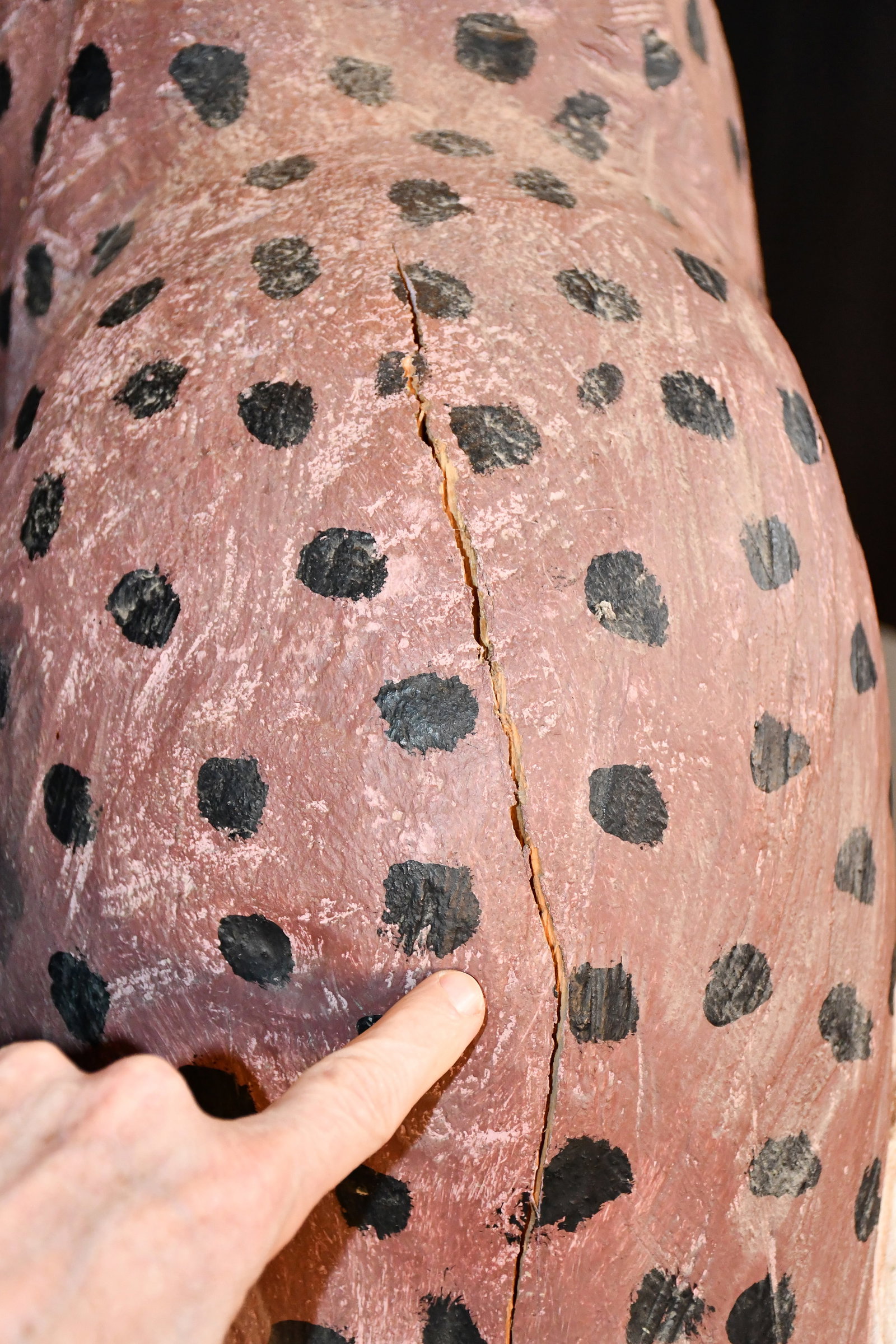 Felipe Archuleta. Lynx. - 9