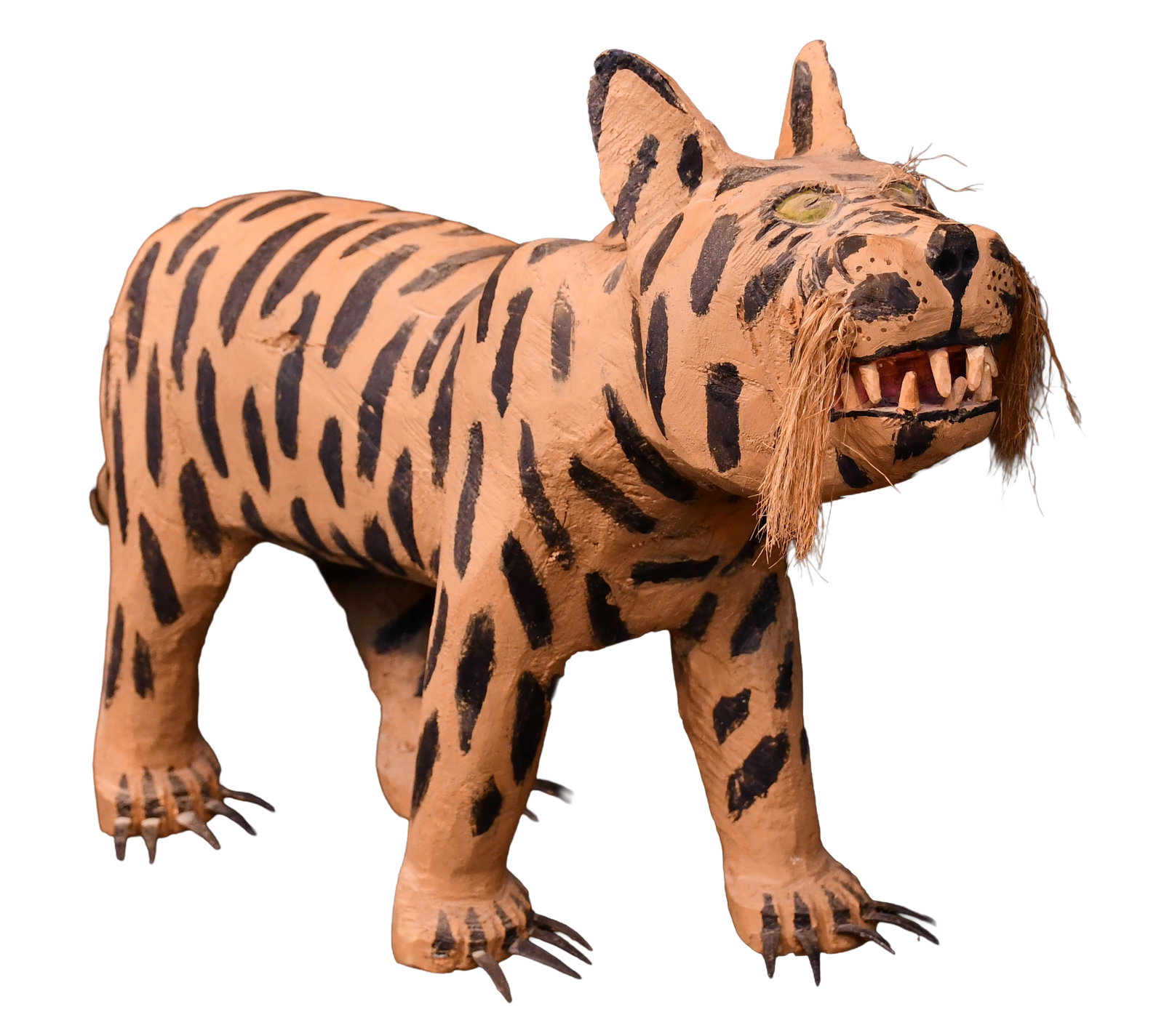 Felipe Archuleta. House Cat. (1 of 10)