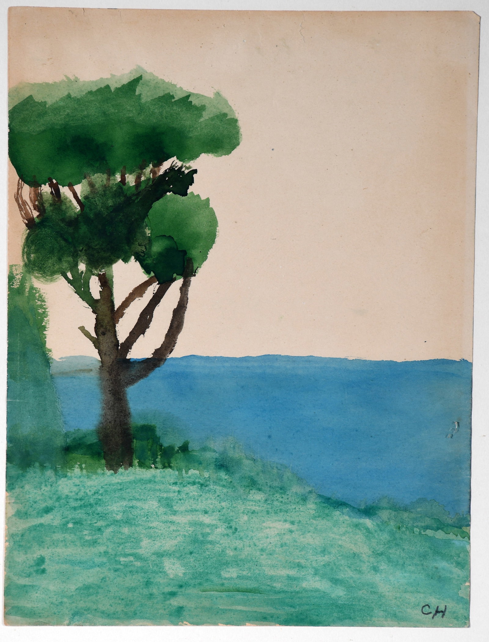 Charles Hutson. Tree Overlooking Lake. (1 of 6)