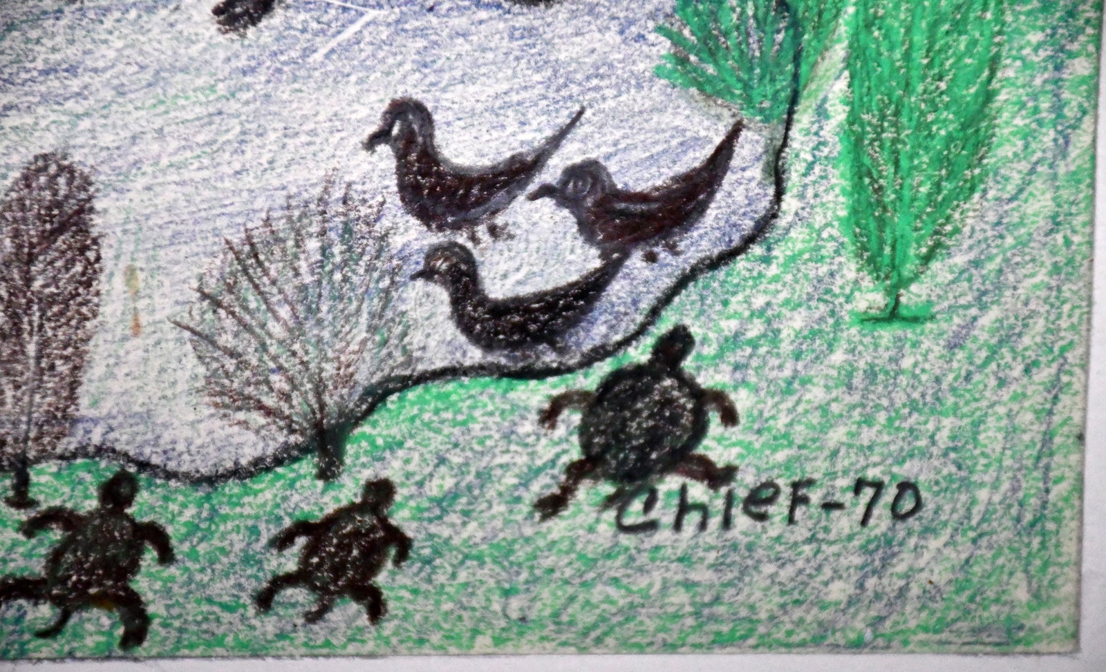 Chief Wiley. Turtle Pond. - 4