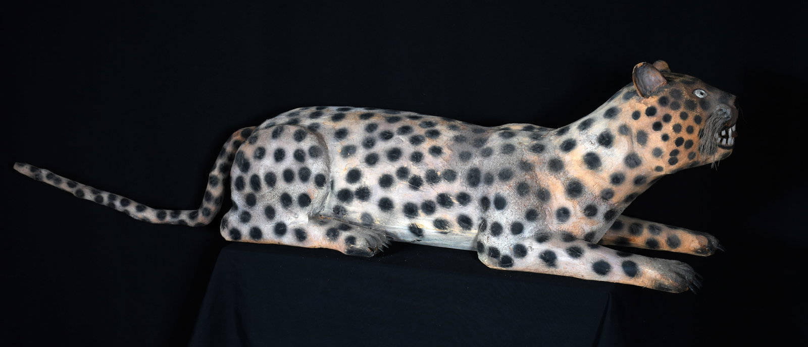 Felipe Archuleta. Leopard. - 10