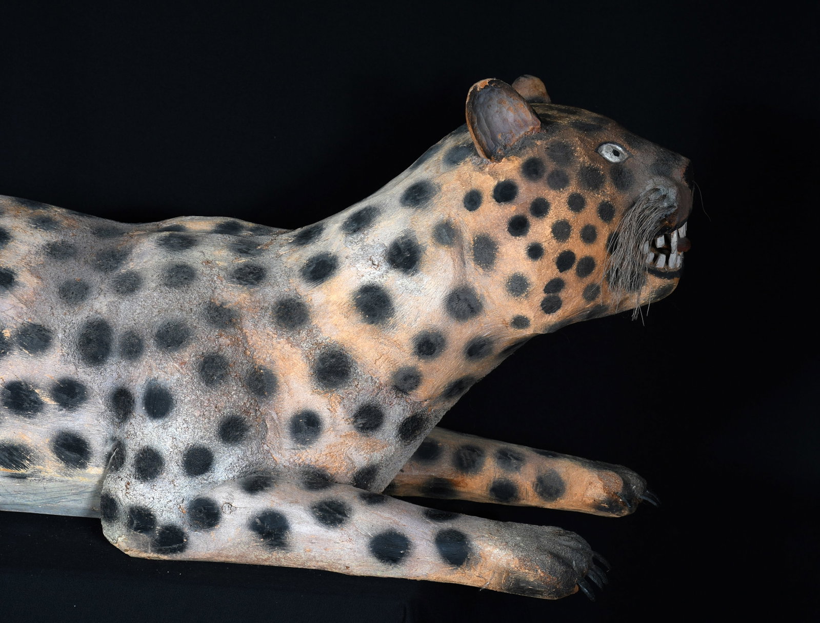Felipe Archuleta. Leopard. - 12