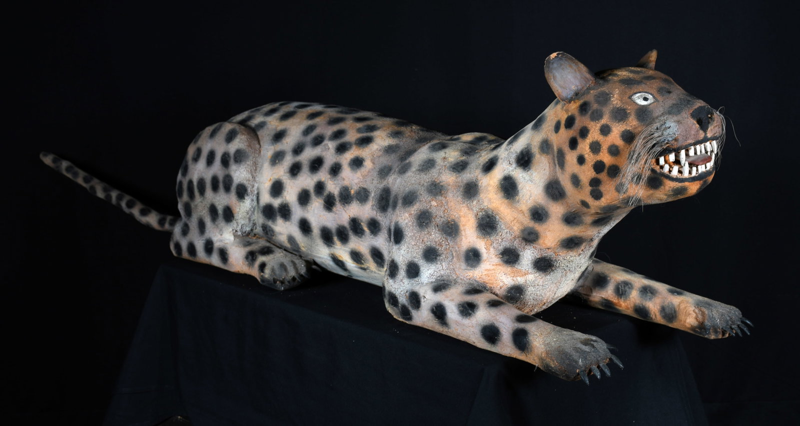 Felipe Archuleta. Leopard. - 14