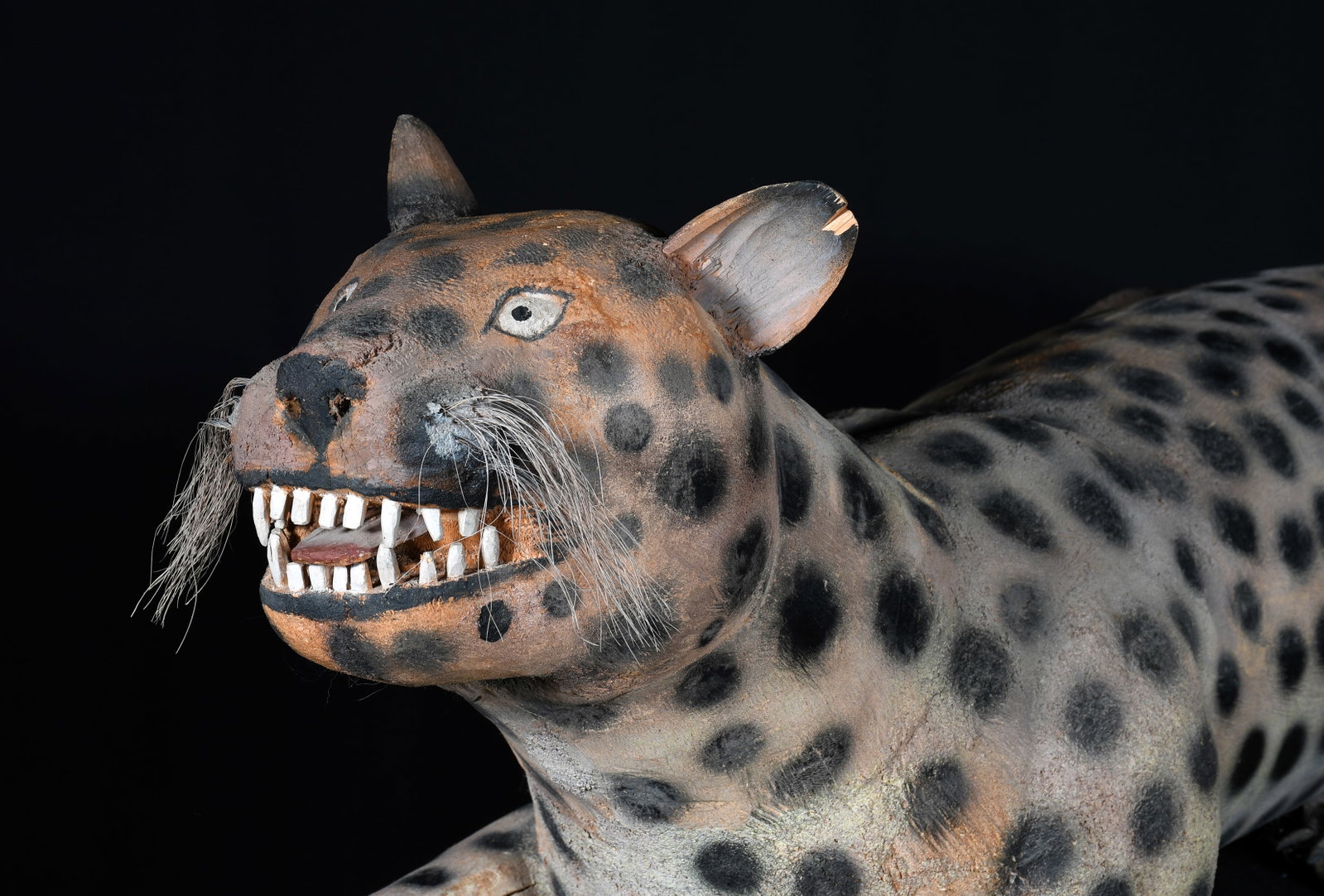 Felipe Archuleta. Leopard. - 3