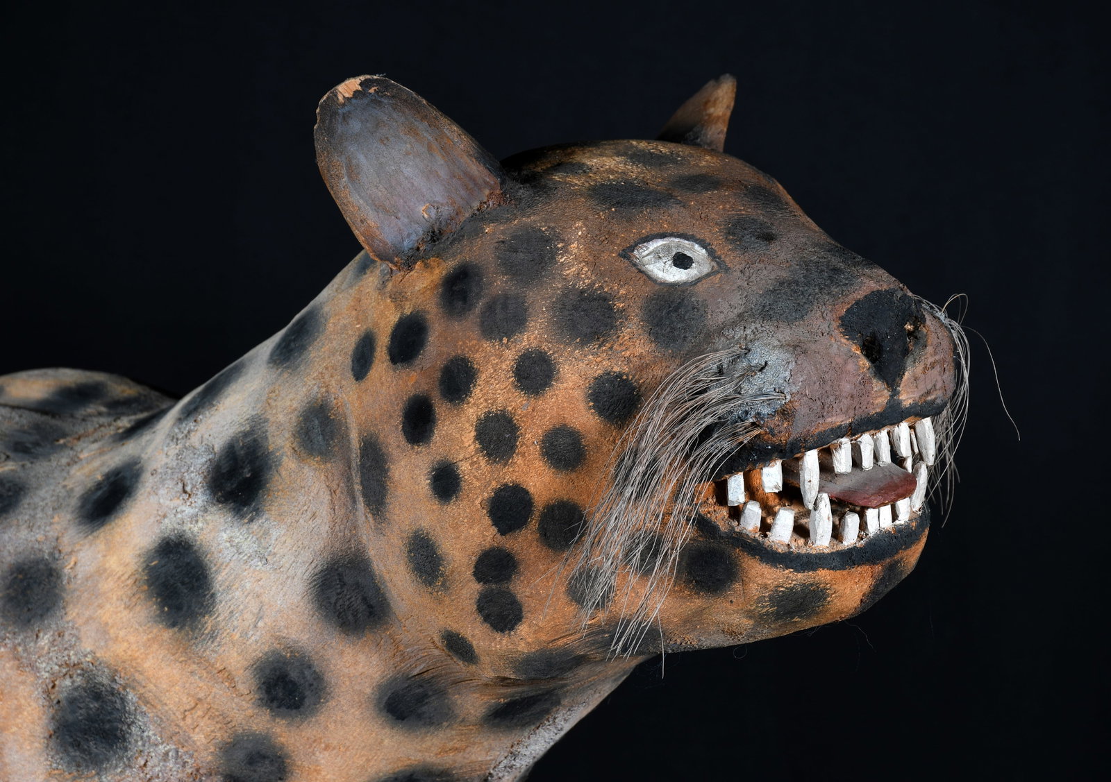 Felipe Archuleta. Leopard. - 4