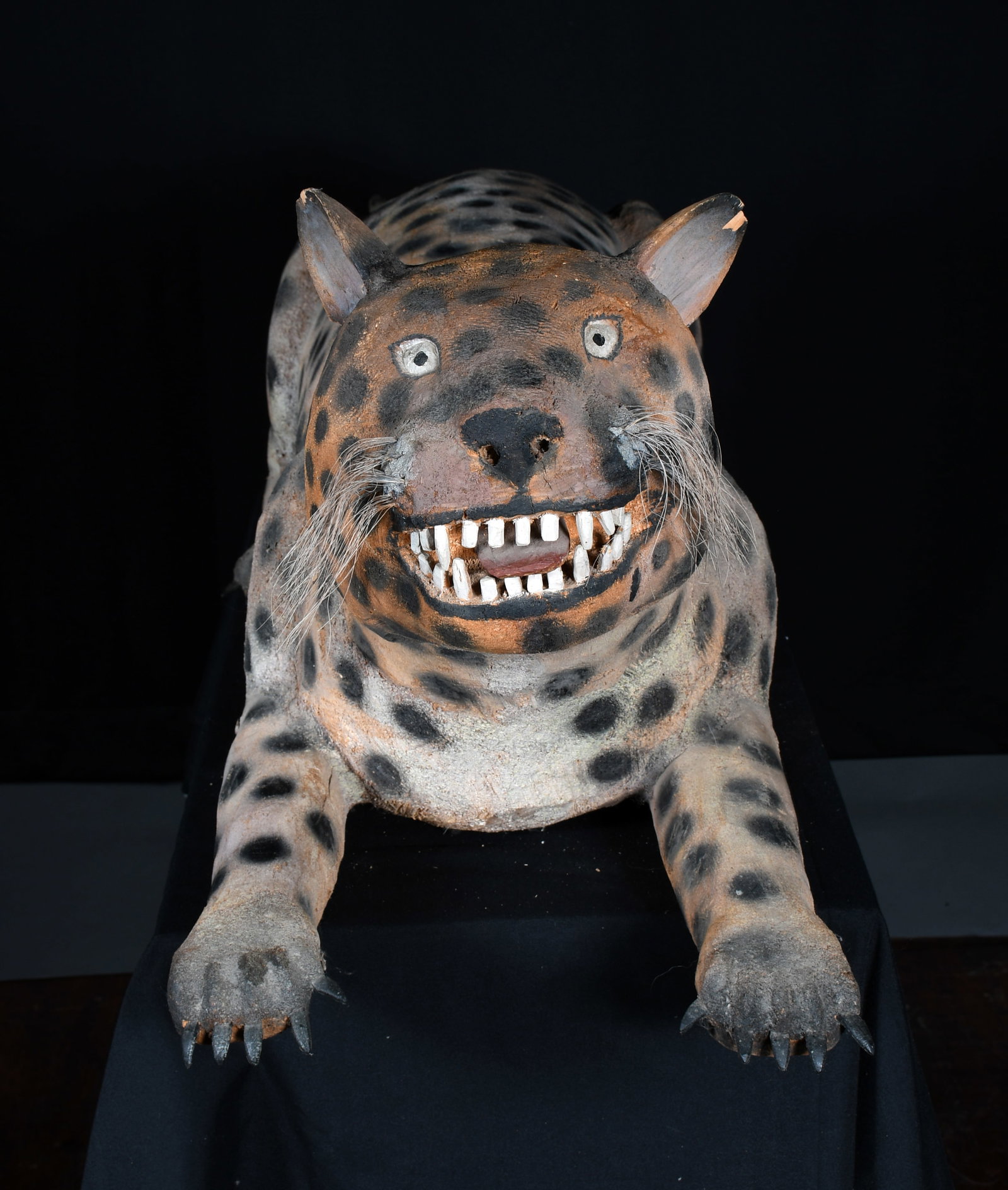 Felipe Archuleta. Leopard. - 5