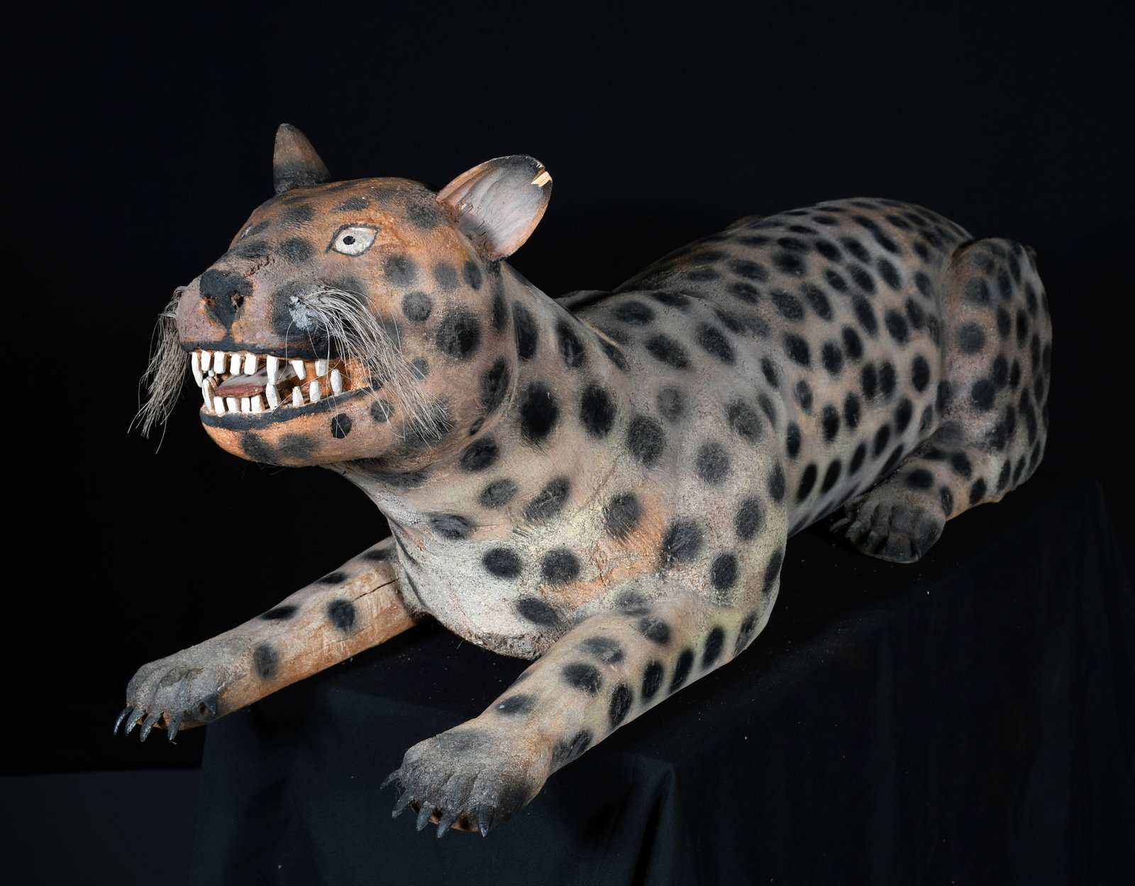 Felipe Archuleta. Leopard. - 6