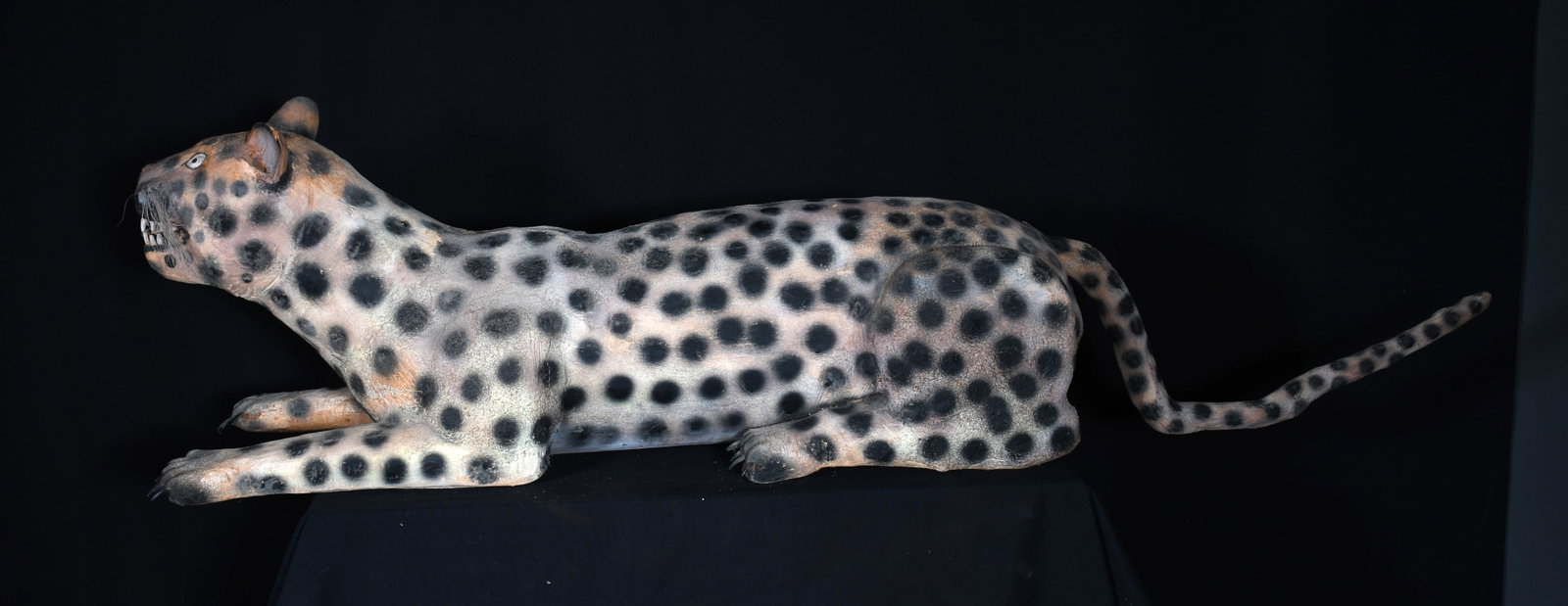 Felipe Archuleta. Leopard. - 8