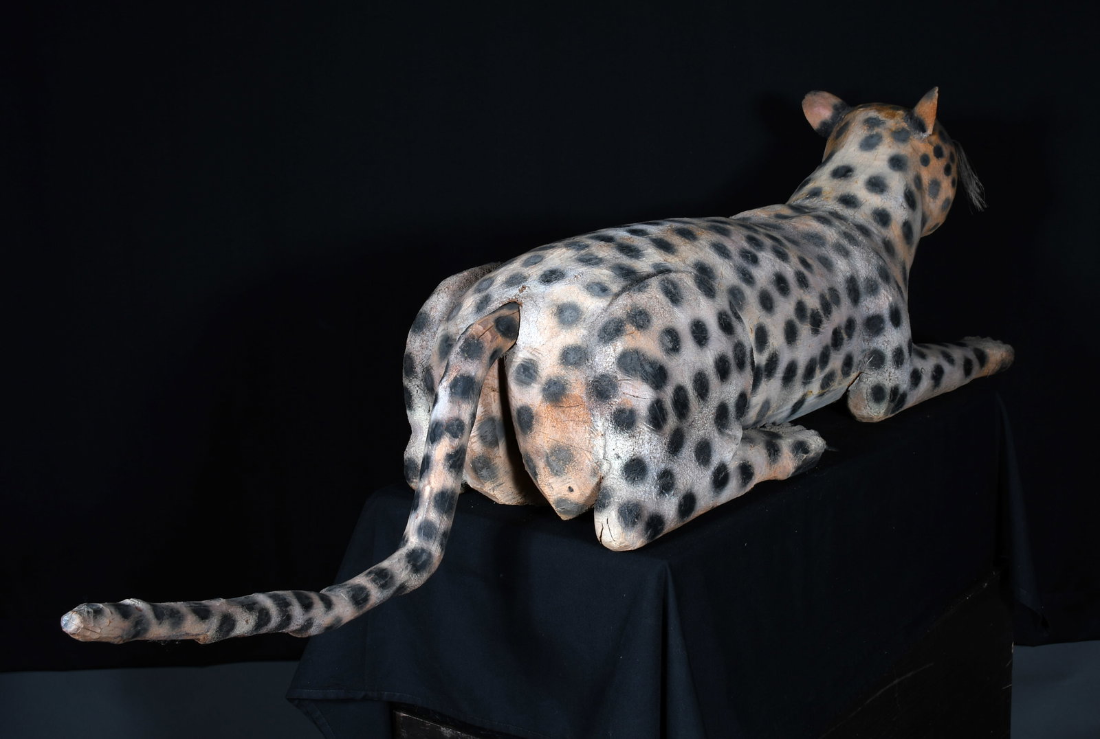 Felipe Archuleta. Leopard. - 9