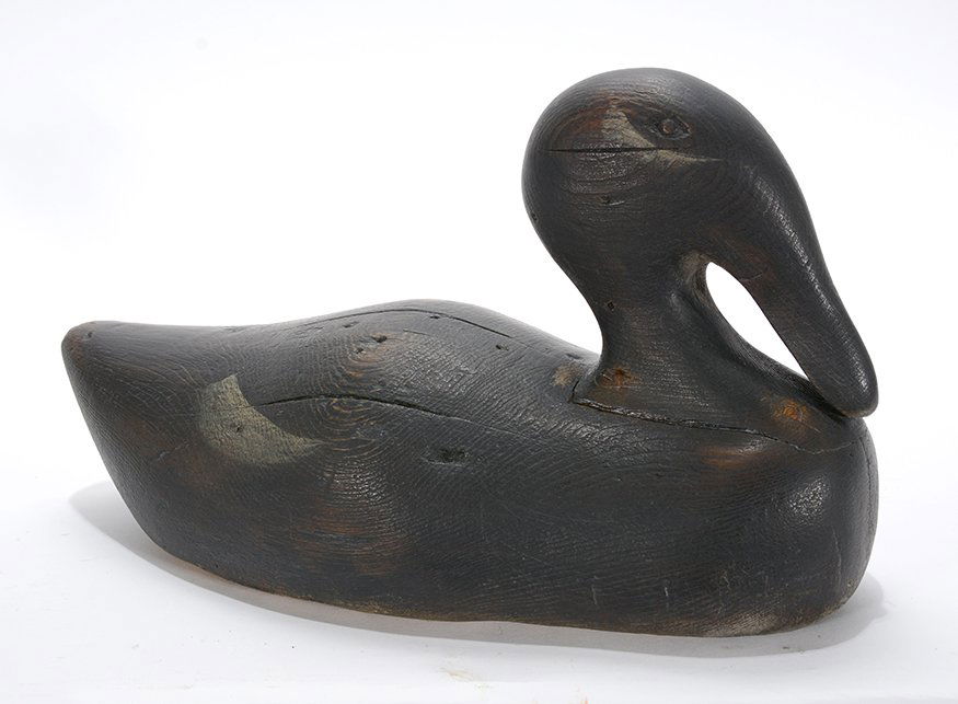 Maine Maker. White Wing Scoter. (1 of 2)