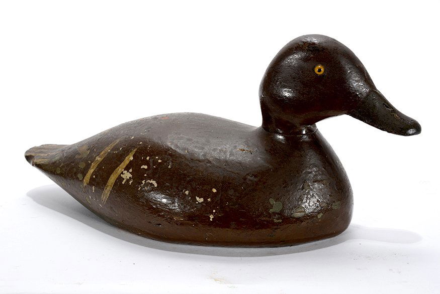 Upper NY State. Bluebill Hen. (1 of 2)