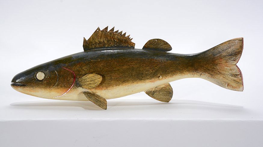 George John Aho. Rare Long Swimming Walleye. (1 of 2)
