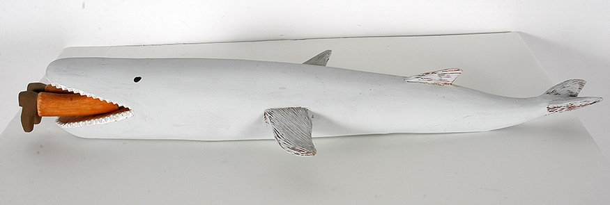 Sulton Rogers. Shark Attack. (1 of 1)