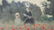 Original Oil Painting of a Flower Garden - 12