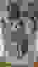 item-62063629=7