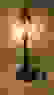 item-62063632=3