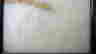 item-43200761=4