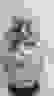 item-43200815=5