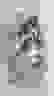 item-43200815=6