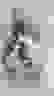 item-43200815=7