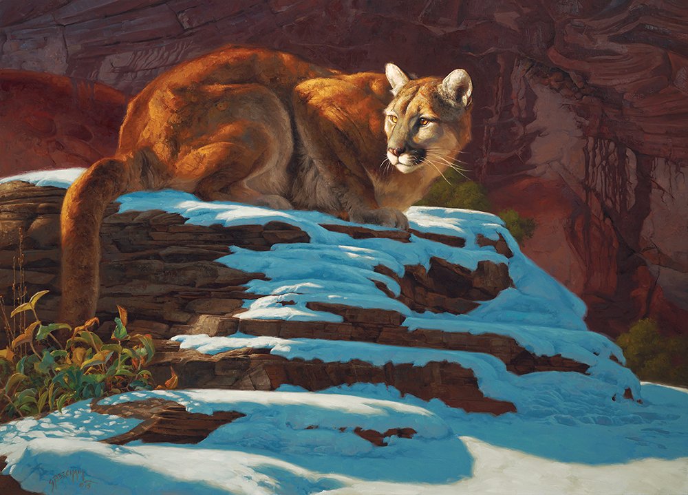 Stacked in Her Favor By Greg Beecham: Greg Beecham (b. 1954) Stacked in Her Favor 2015 Oil 36 x 50 inches Signed lower left: 'G Beecham 15' The artist