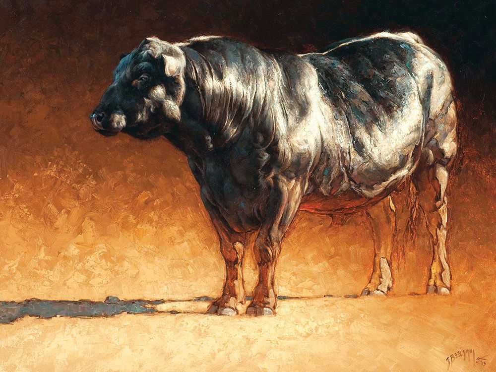 Angus By Greg Beecham: Greg Beecham (b. 1954) Angus 2013 Oil 30 x 40 inches Signed lower right: 'G. Beecham '13' The artist