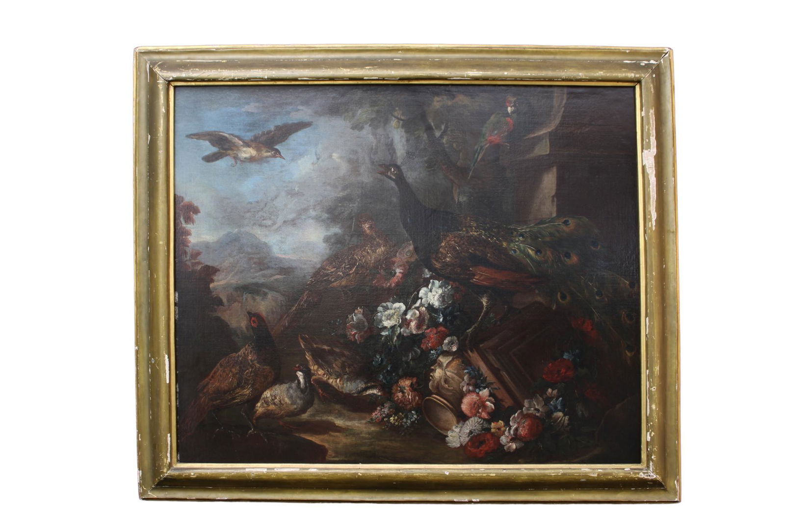 IMPORTANTE OLIO SU TELA: Raffigurante natura morta con volatili e pappagallo, dentro cornice coeva in legno laccato e dorato firmato Angelo Maria Crivelli detto il Crivellone 1660-1730 tra i piÃ¹ dotati ed acclamati pittori