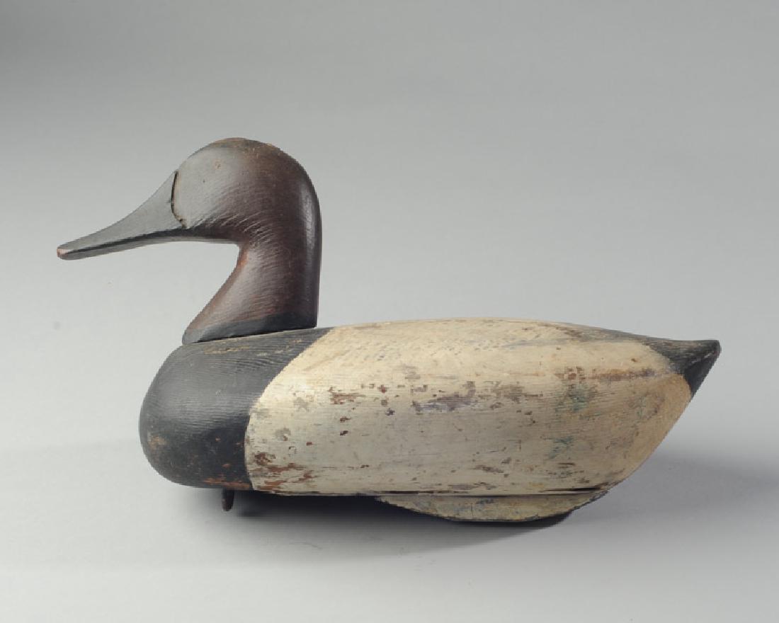 Mid Century Canvasback Working Decoy (1 of 7)