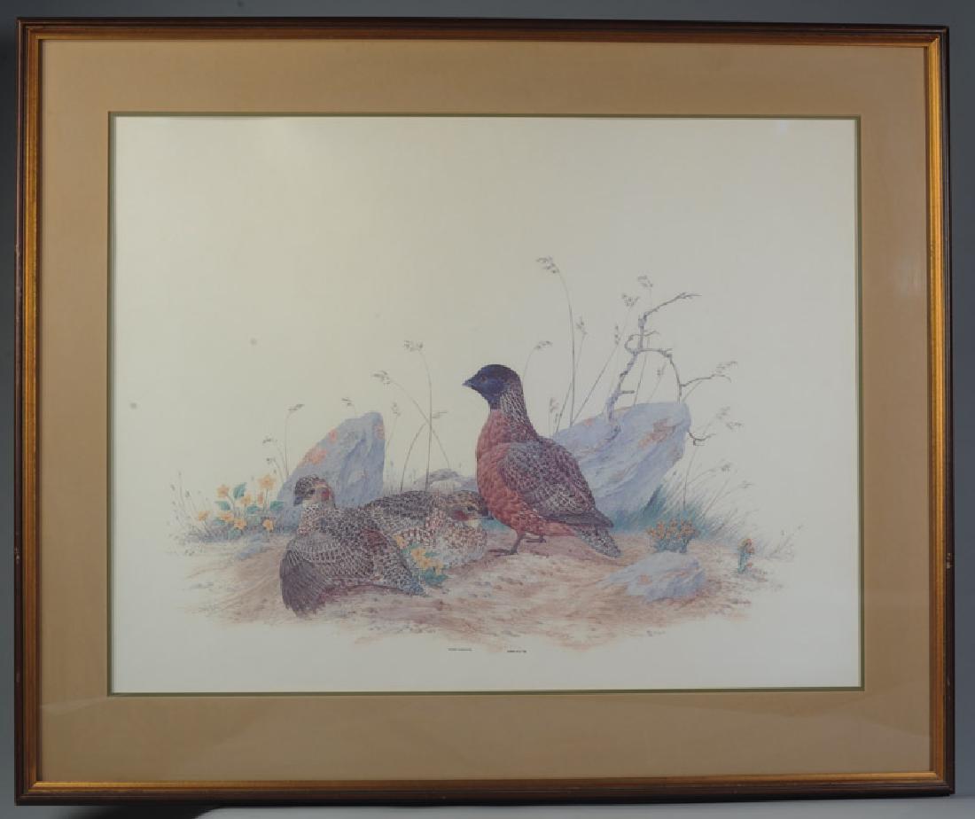 Two Framed Robin Hill Prints: Masked Bobwhite and Aleutian Canada Goose. Provenance: Formerly from the estate of Harry T. Peters Jr., of "Wyndholme", Orange County, Virginia. Largest image: approx. 20 1/2" x 28". Frame: approx. 29