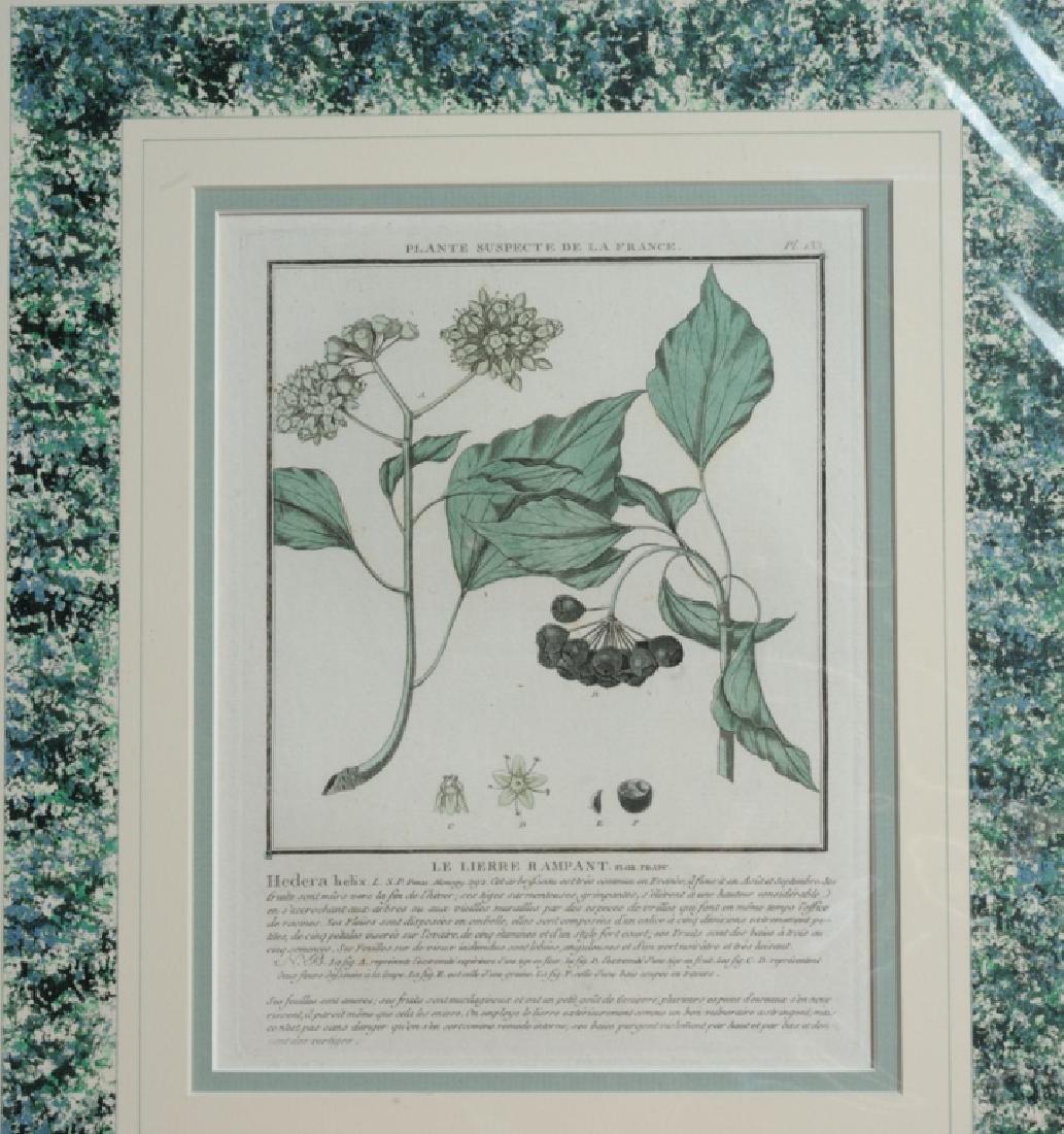 Pierre Bulliard (1752-1793) Original Engraving: Plate 133 "Le Lierre Rampant" from "Herbier De La France" published 1784, professionally matted and shrink wrapped. Visible image: approx. 9 1/4" x 7". Mat: approx. 17 1/2" x 15 1/4".