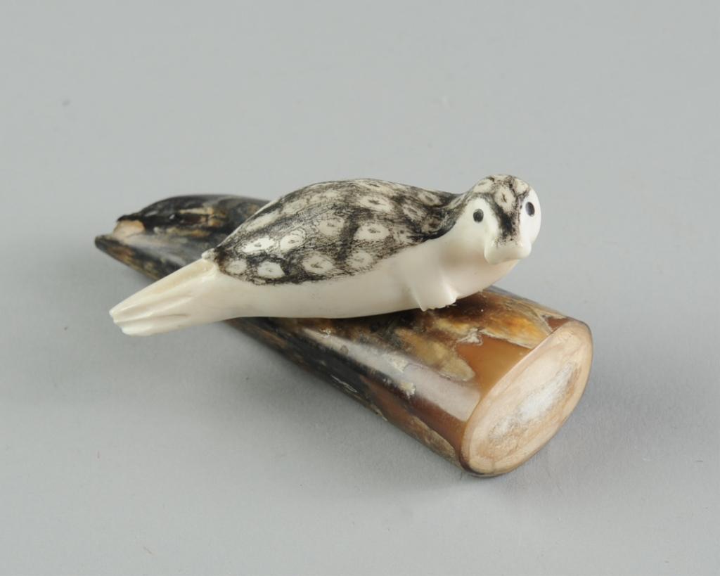 Roger Silook (Inuit, 1923-2004) Carving: Small but expressive carving of a baby seal on a walrus tusk base. Signed "Roger Silook". Approx. 3 1/2" in length.