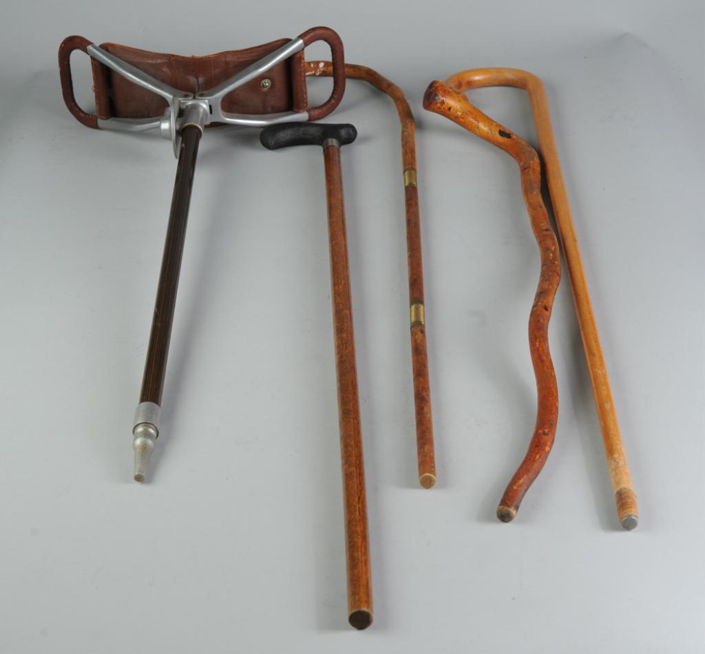 Walking Stick Grouping (1 of 2)