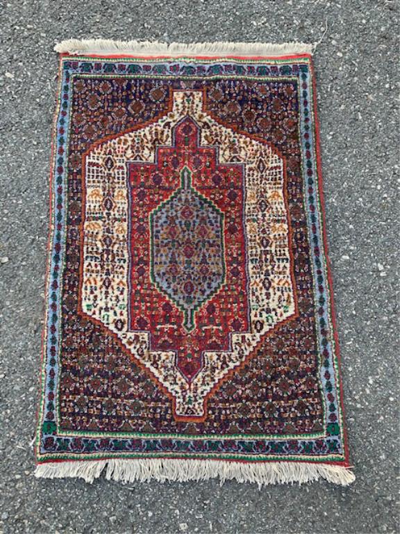 Persian Senneh Rug (1 of 2)