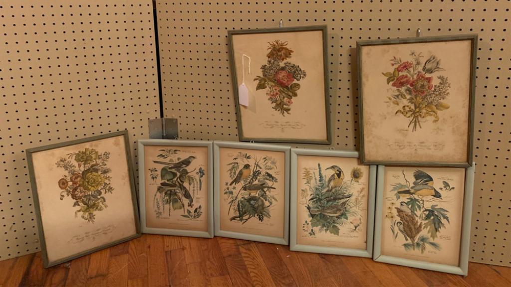 Mixed Grouping Floral and Ornithological Prints: Arthuer Singer and IBF Co., all framed (some loose), some discoloration / foxing, in as-found condition. Largest frame: approx. 14 1/2" x 11 3/4".