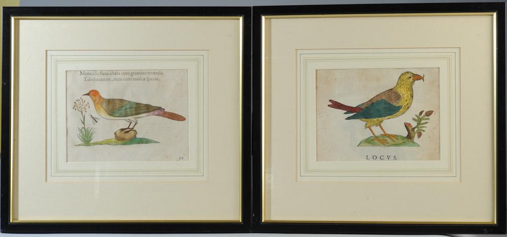 Two Early Hand-colored Woodcuts of Birds (1 of 4)