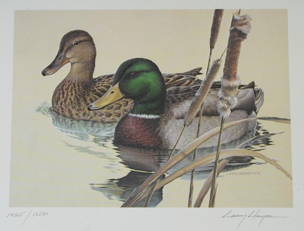 Texas Duck Print & Stamp Grouping (1 of 5)