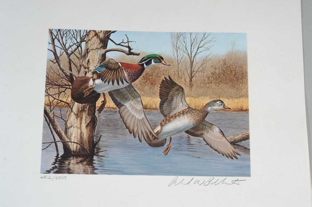 Two New Hampshire Duck Prints & Stamps (1 of 2)