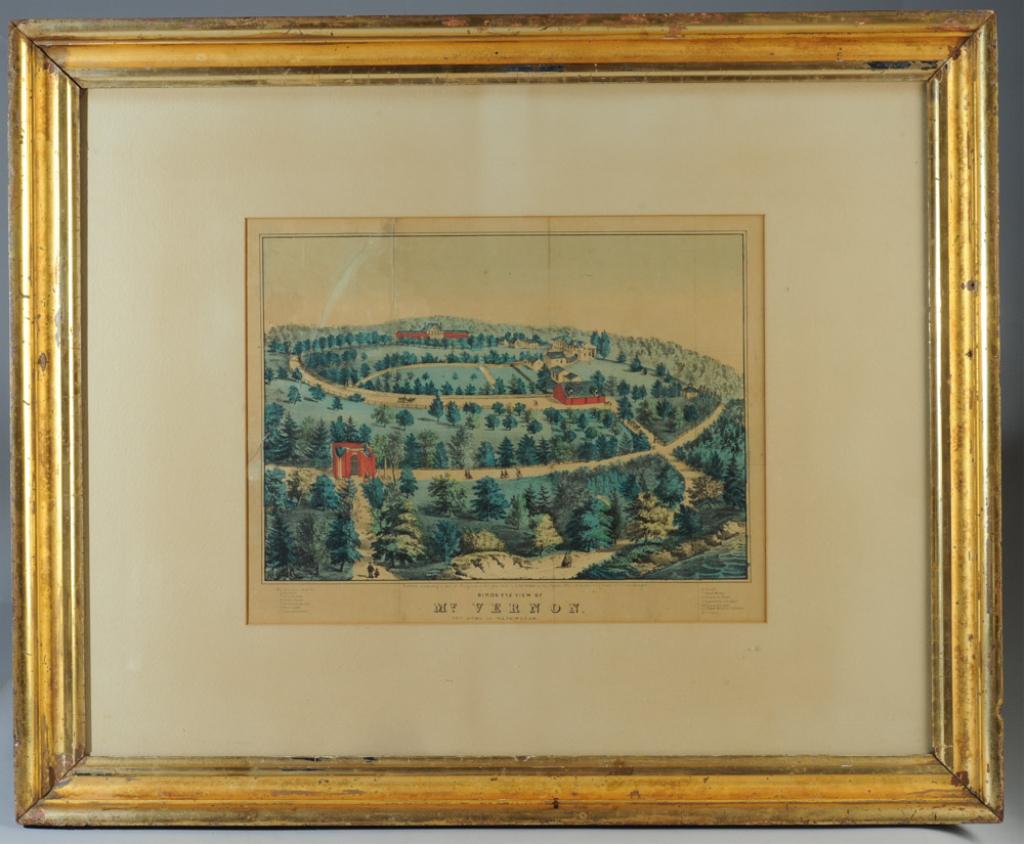 1859 Birds Eye View of Mt. Vernon (1 of 6)