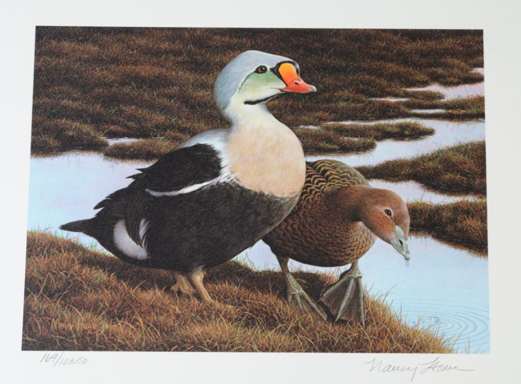 Federal Duck Stamp Print Grouping Same Number (1 of 4)