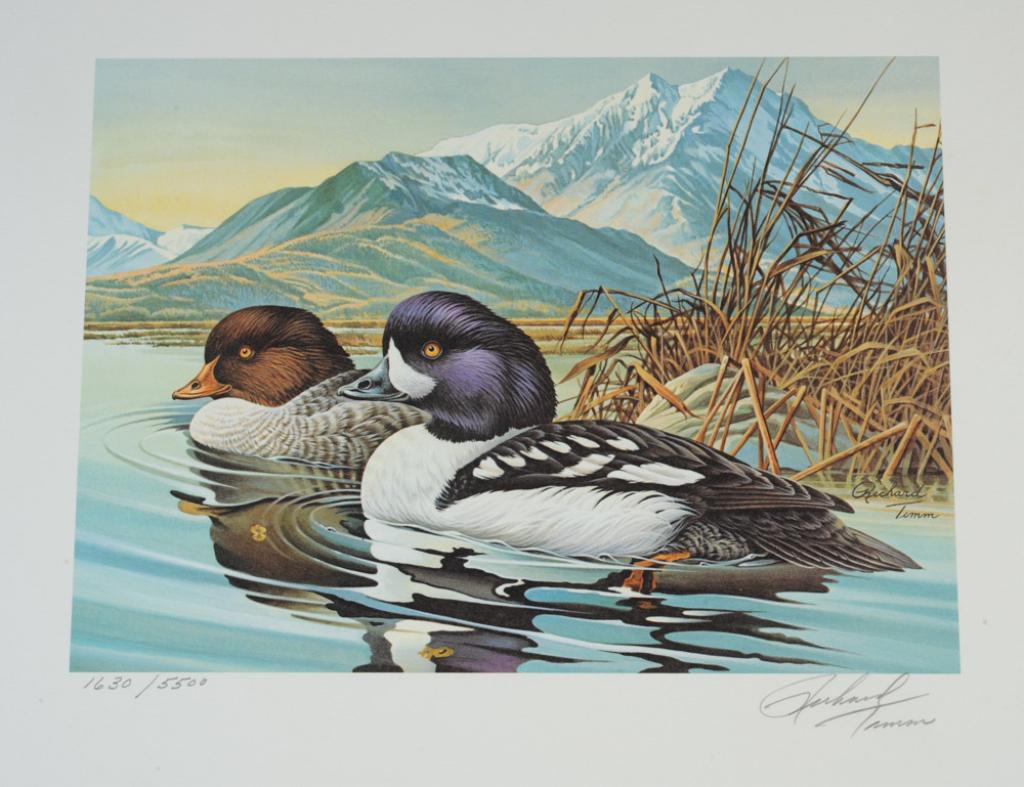 Alaska Waterfowl Conservation Print & Stamp Lot (1 of 5)