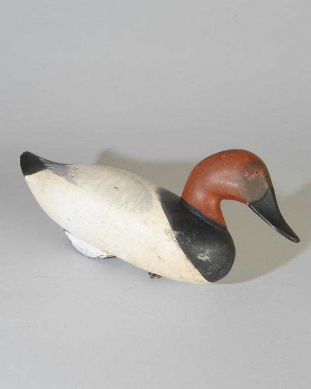 Canvasback Drake attrib. R. Madison Mitchell (1 of 8)