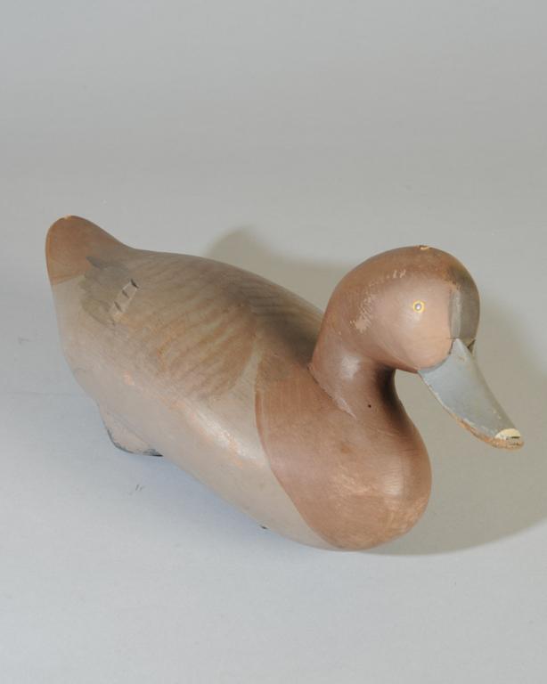 Redhead Hen attrib. R. Madison Mitchell (1 of 7)