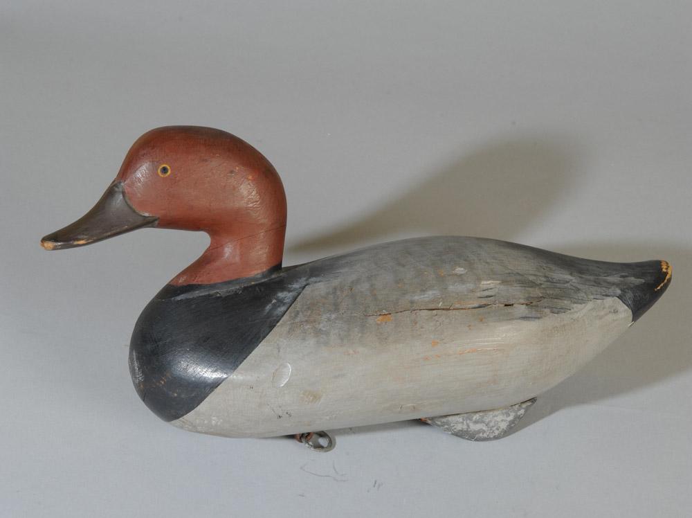 Redhead Drake attrib. R. Madison Mitchell (1 of 12)