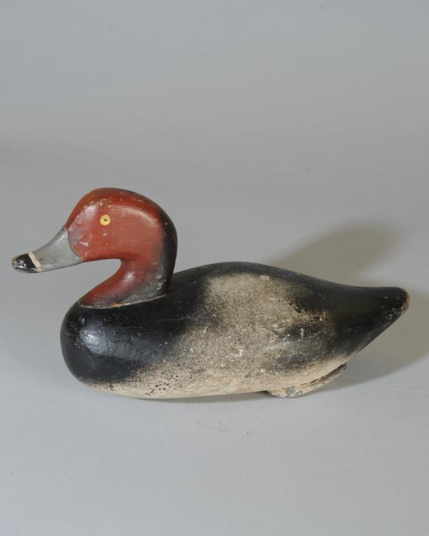 Redhead Drake attrib. Paul Gibson (1 of 7)