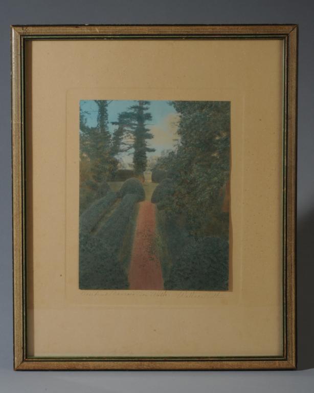 Wallace Nutting James Monroe's Boxwood Walk (1 of 1)