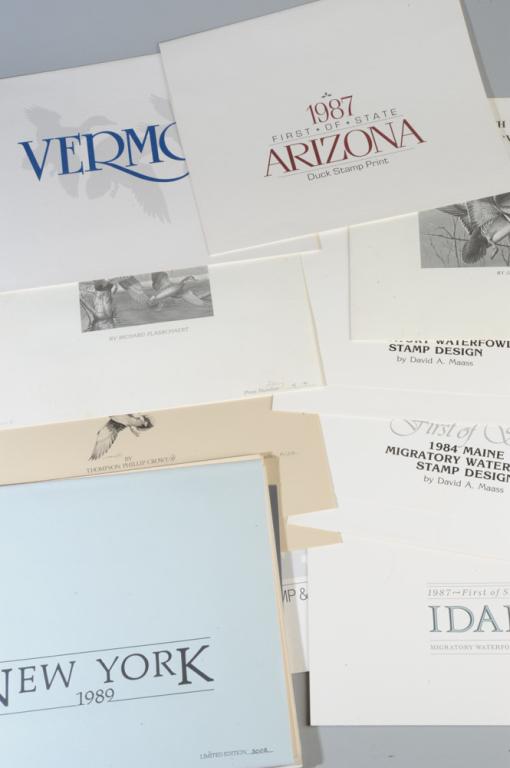 Mixed Grouping Duck Stamp Prints (1 of 4)
