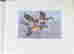 item-94572448=3