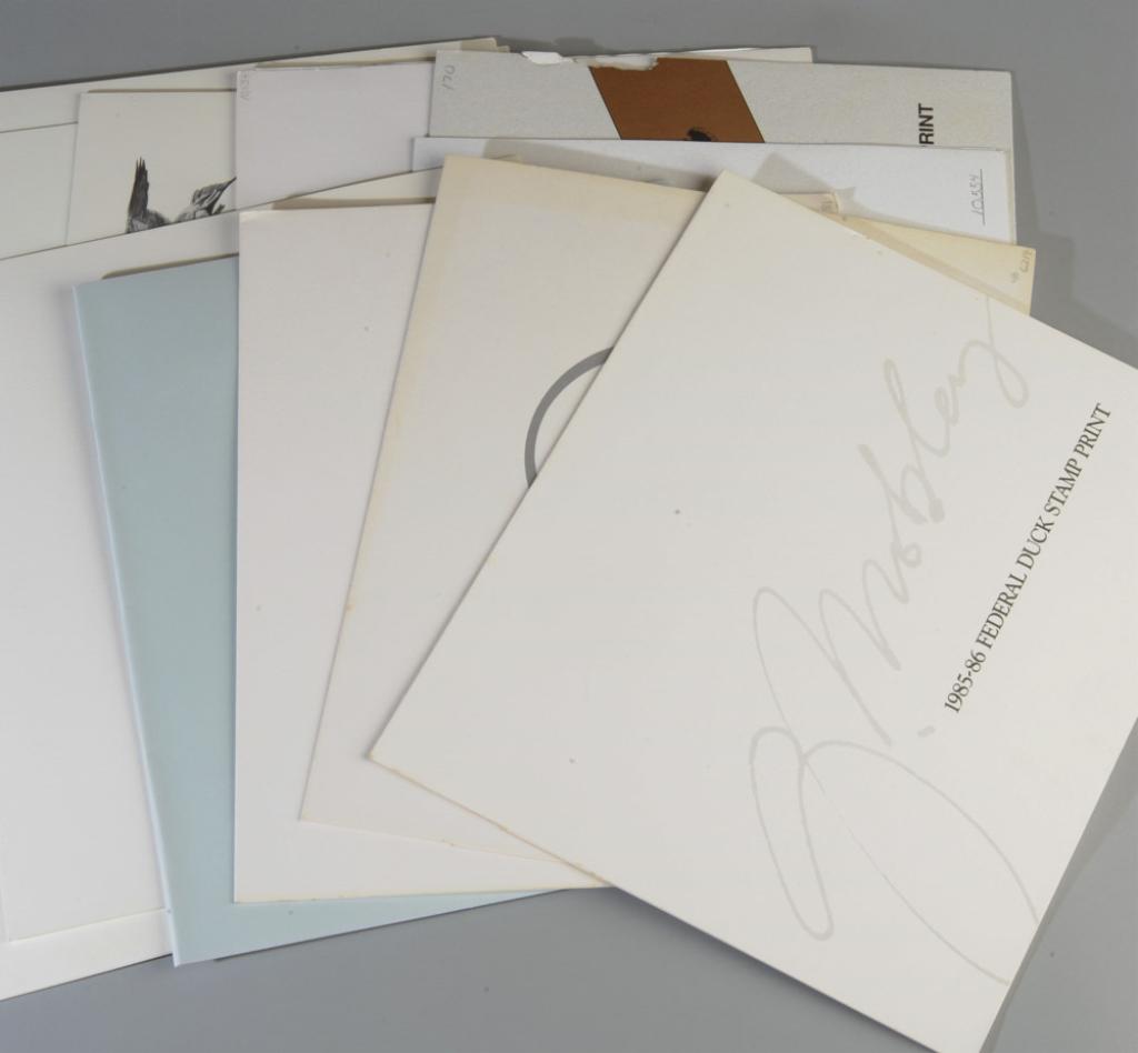 Mixed Grouping Duck Stamp Prints (1 of 4)