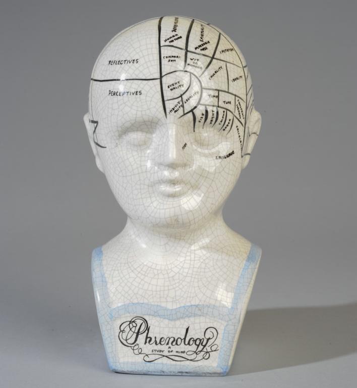 Ceramic Phrenology Head (1 of 5)