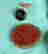 item-94572735=3